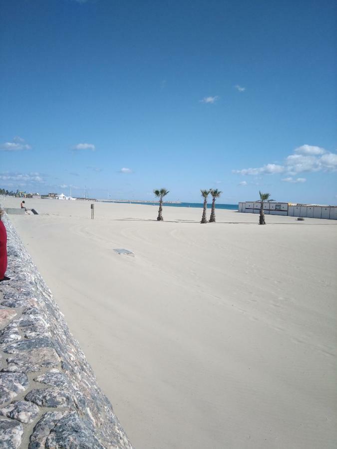 Canet Centre Ville Et Plage - Equipe Avec Climatisation エクステリア 写真